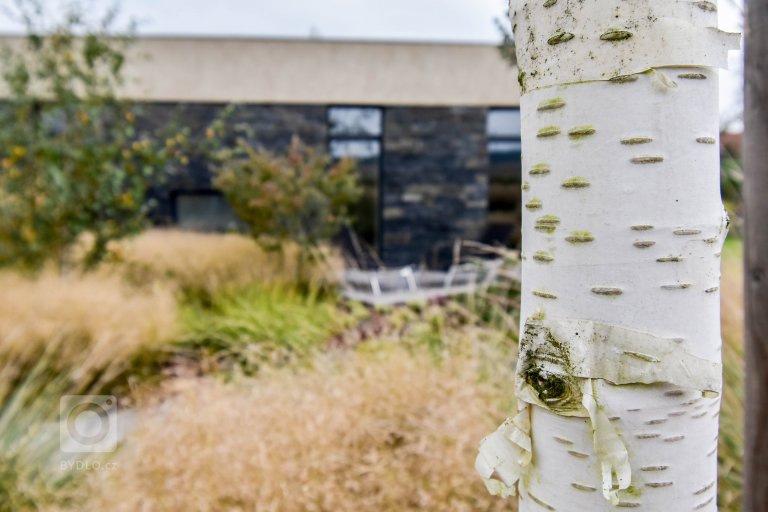 add picture to album