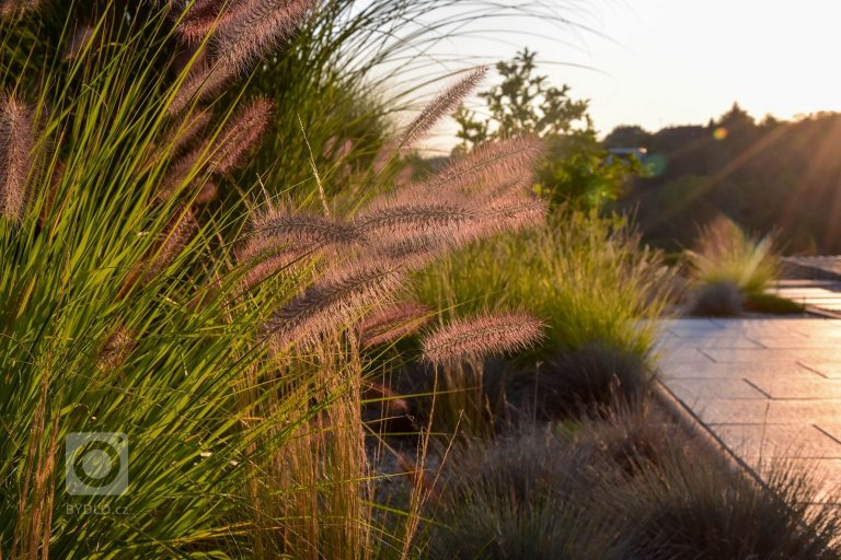 add picture to album