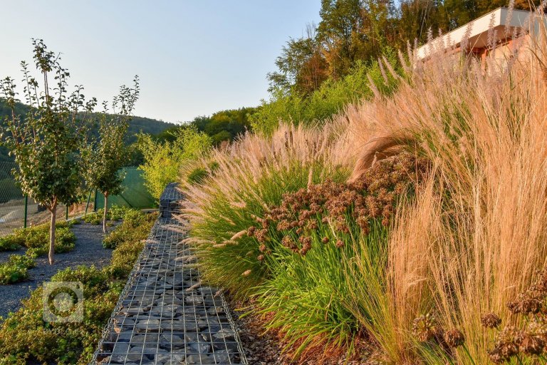 add picture to album