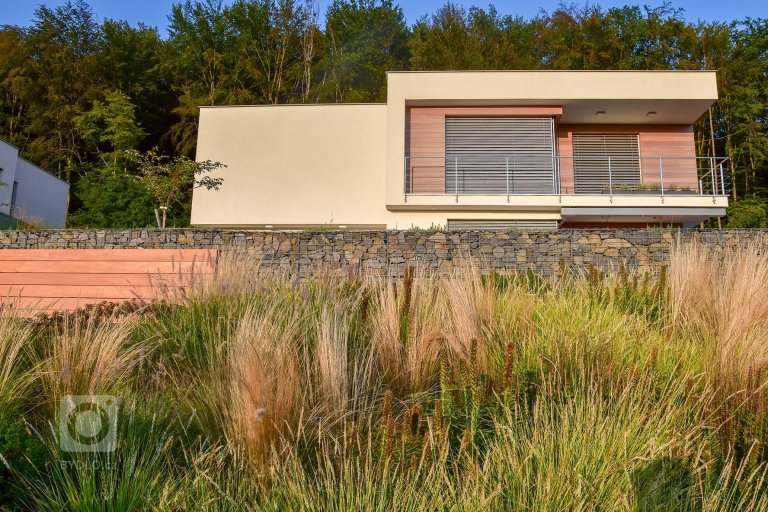 add picture to album