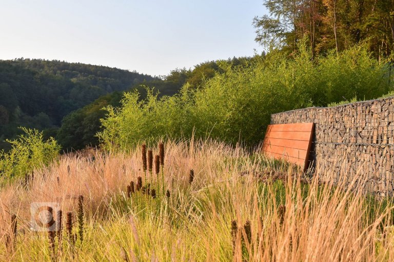 add picture to album