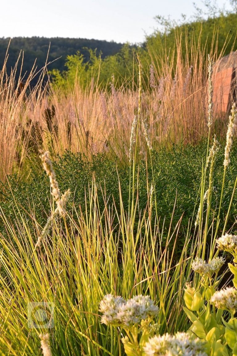 add picture to album