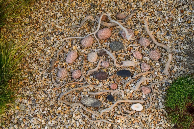 add picture to album