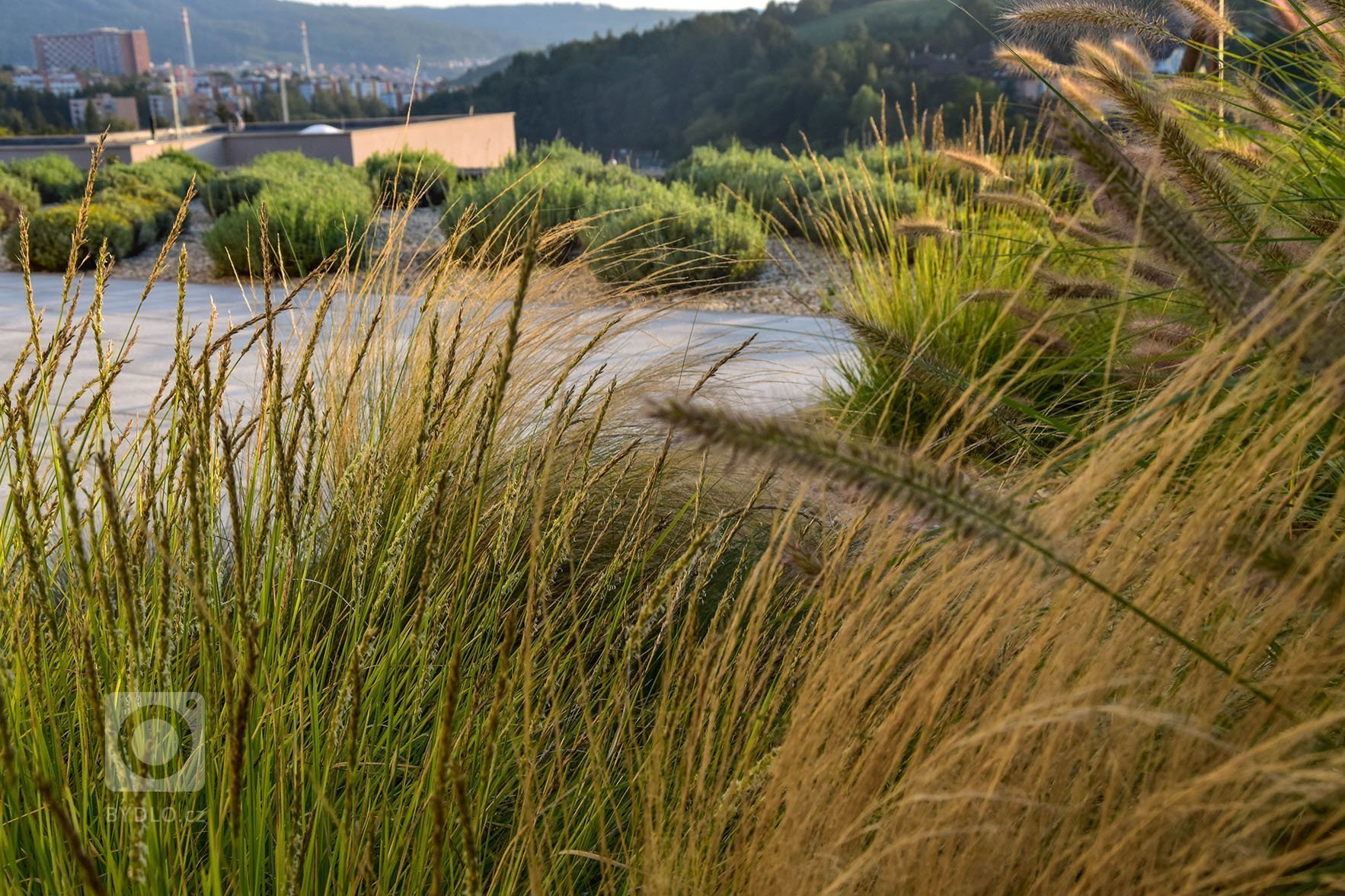 Pro toto místo a zahradu je typické, že ve svém programu a formě silně odráží progresivního a praktického ducha &bdquo;baťovského&ldquo; Zlína. Rozhodně si ale…