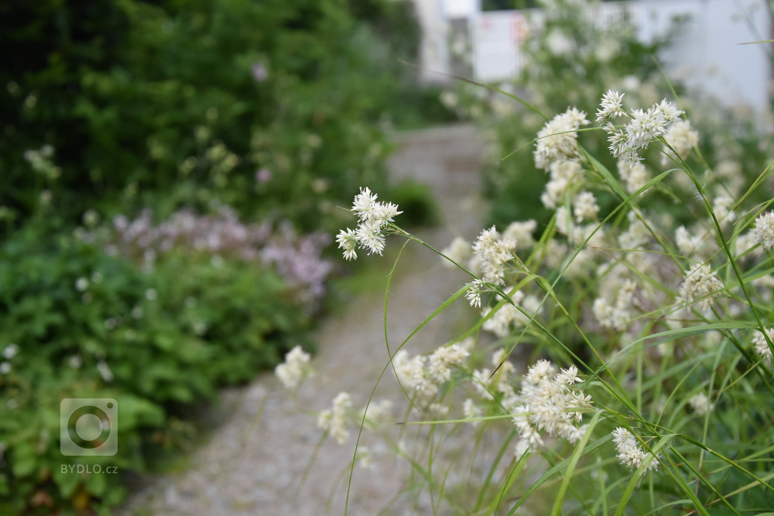 Další zahradou ze &bdquo;série&ldquo; přírodních zahrad je venkovská zahrada na Benešovsku.

Jak ji co nejlépe popsat?

Vzhled tohoto domu i zahrady pro…