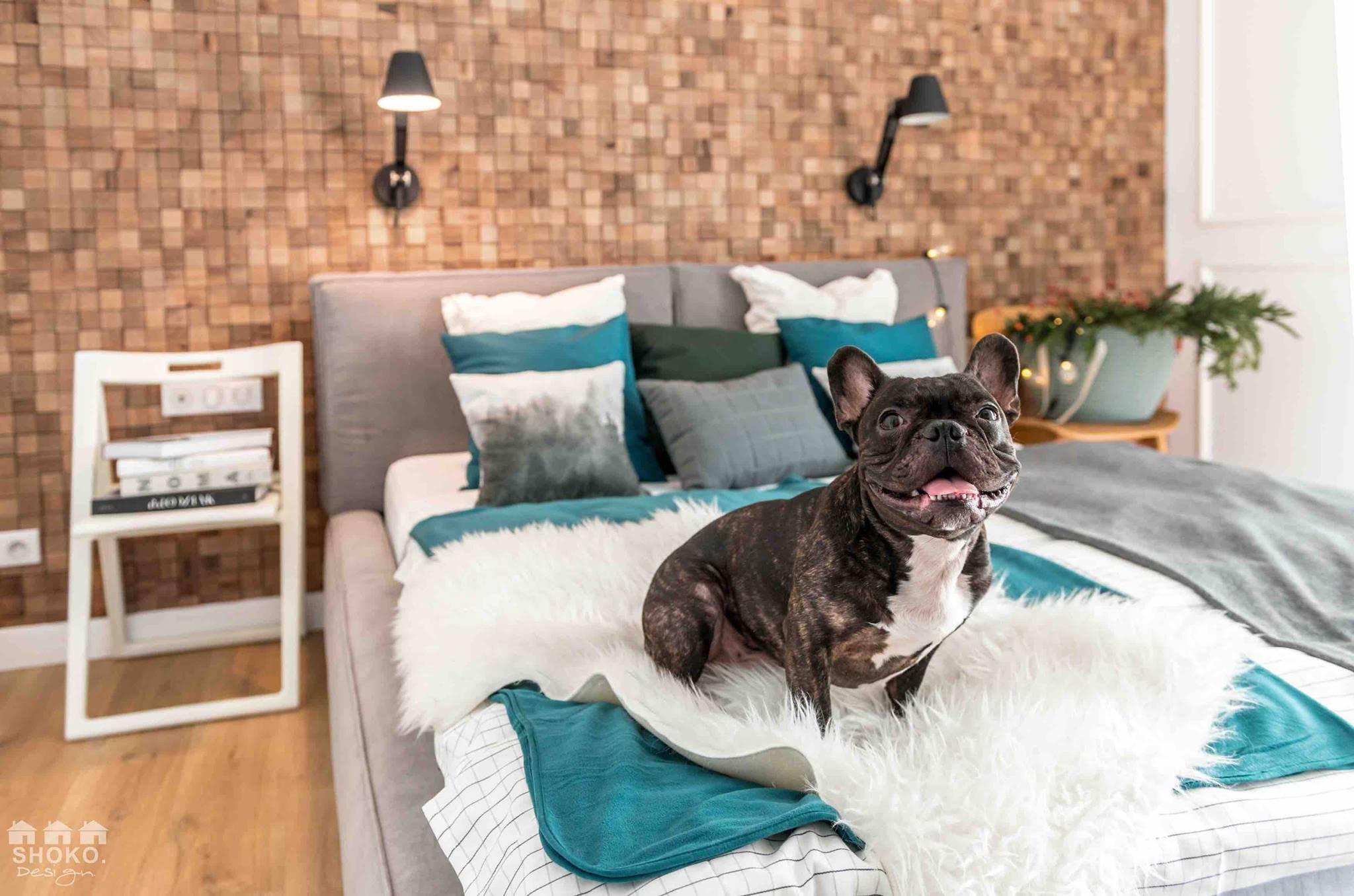 Byt ve skandinávském stylu  s panoramatickými okny