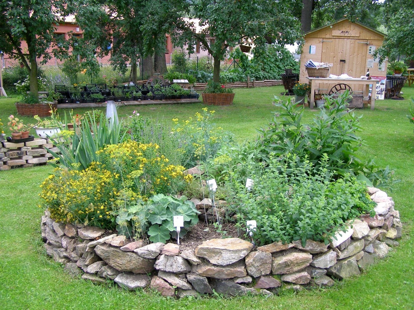 Jak na bylinkovou zahrádku? Klasicky, nebo od lesa?