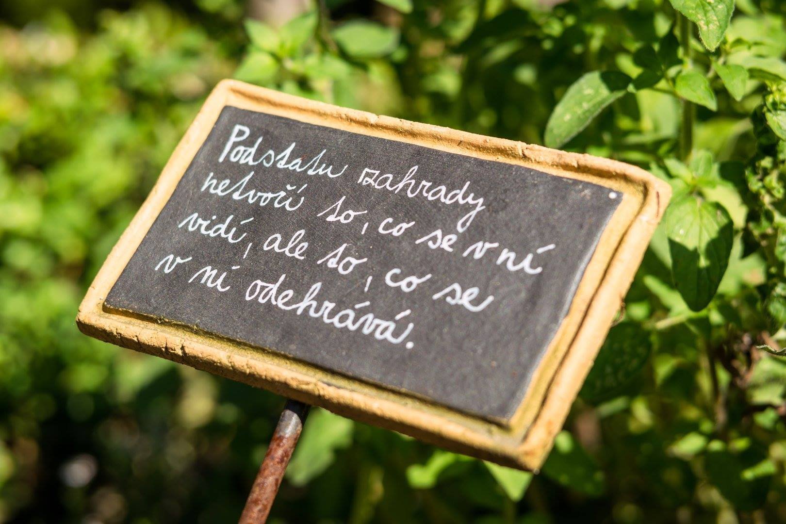 Jak na bylinkovou zahrádku? Klasicky, nebo od lesa?