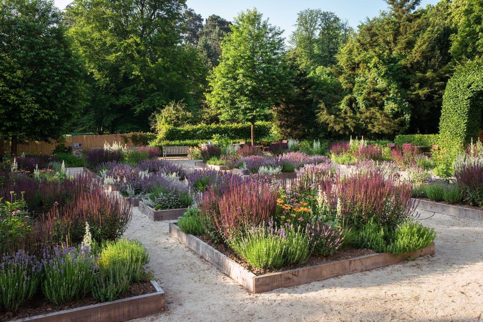 Jak na bylinkovou zahrádku? Klasicky, nebo od lesa?