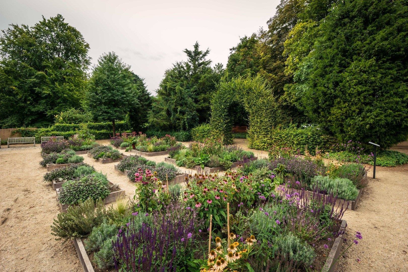 Jak na bylinkovou zahrádku? Klasicky, nebo od lesa?