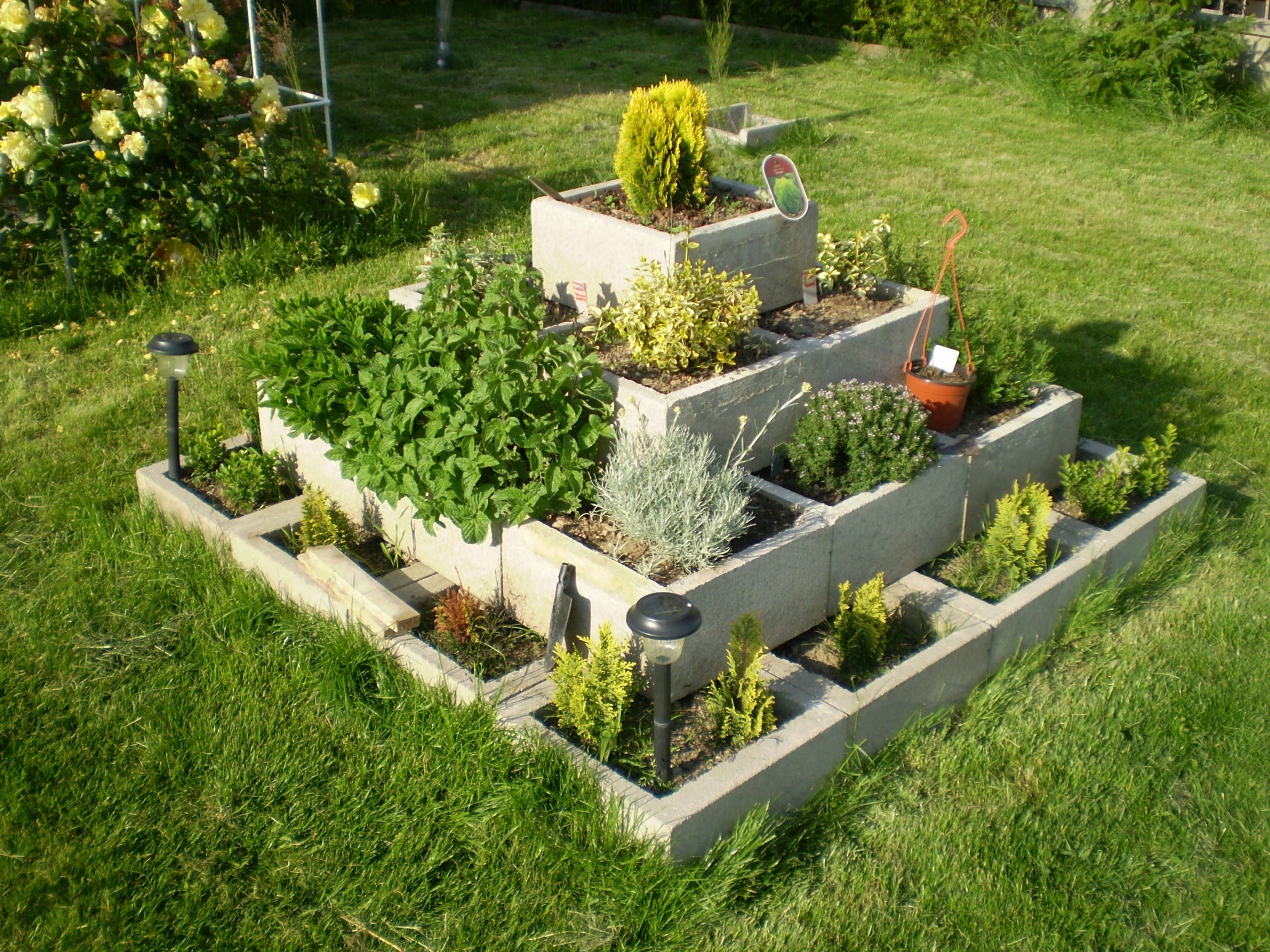 Jak na bylinkovou zahrádku? Klasicky, nebo od lesa?