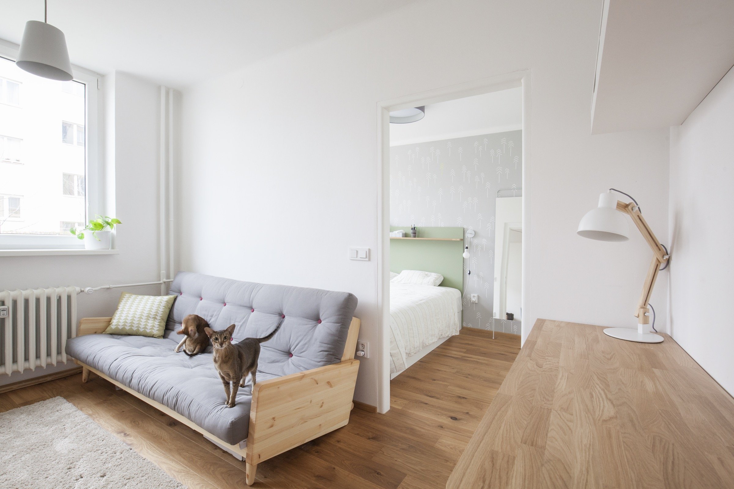 Kočičí byt v Dejvicích - příjemné bydlení na 38 m²