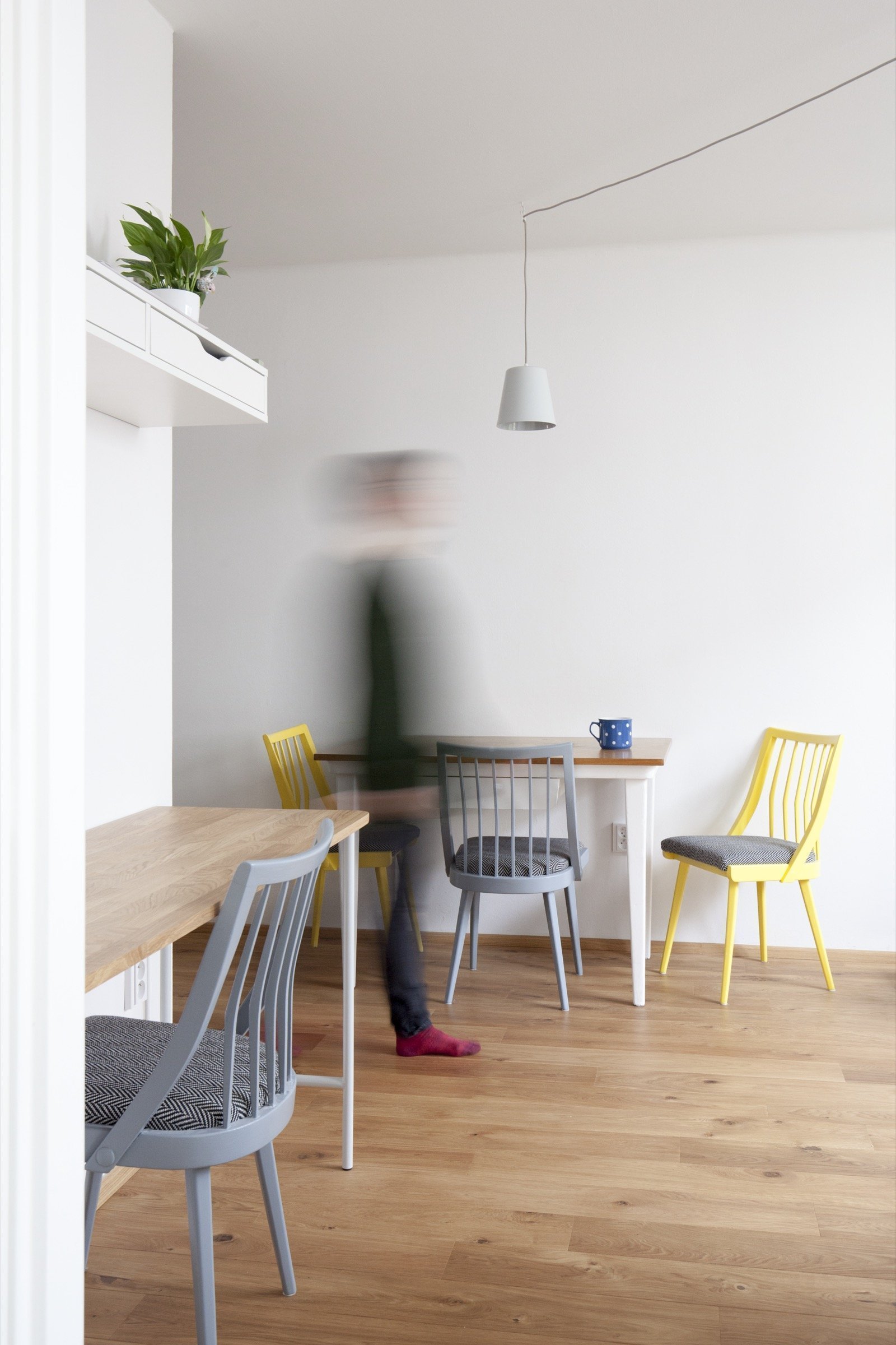 Kočičí byt v Dejvicích - příjemné bydlení na 38 m²