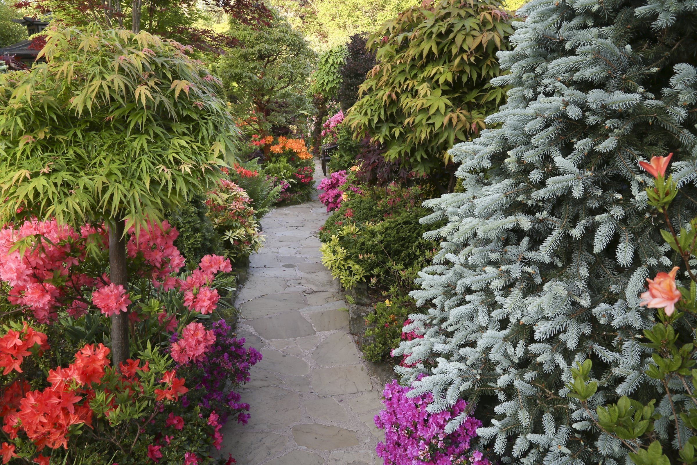 Oceňovaná zahrada hraje všemi odstíny podzimních barev
