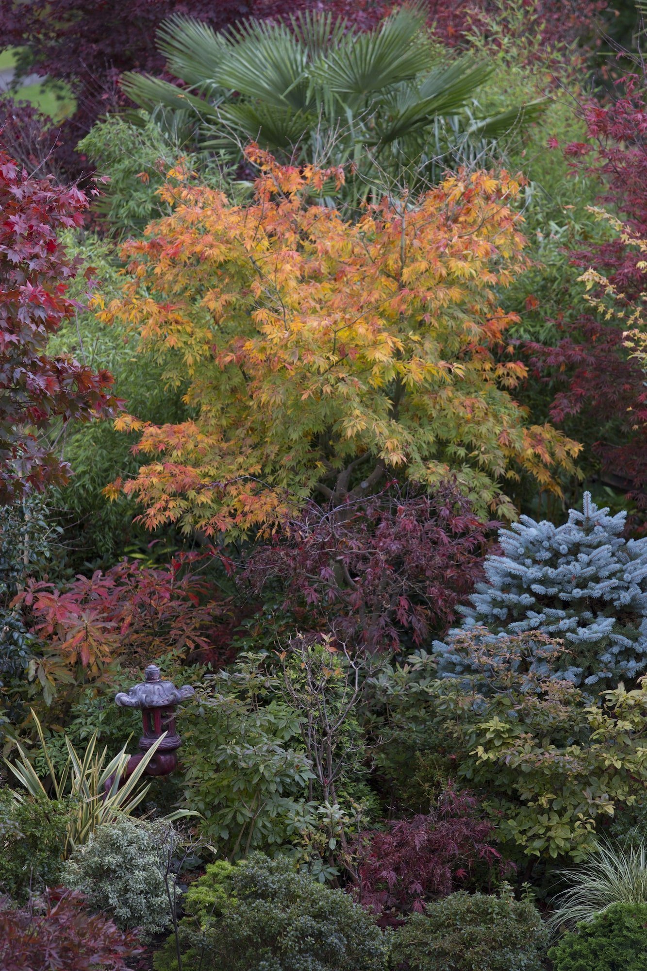 Oceňovaná zahrada hraje všemi odstíny podzimních barev