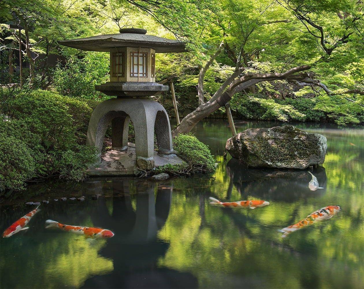 Hledáte klid mysli? Založte si japonskou zahradu