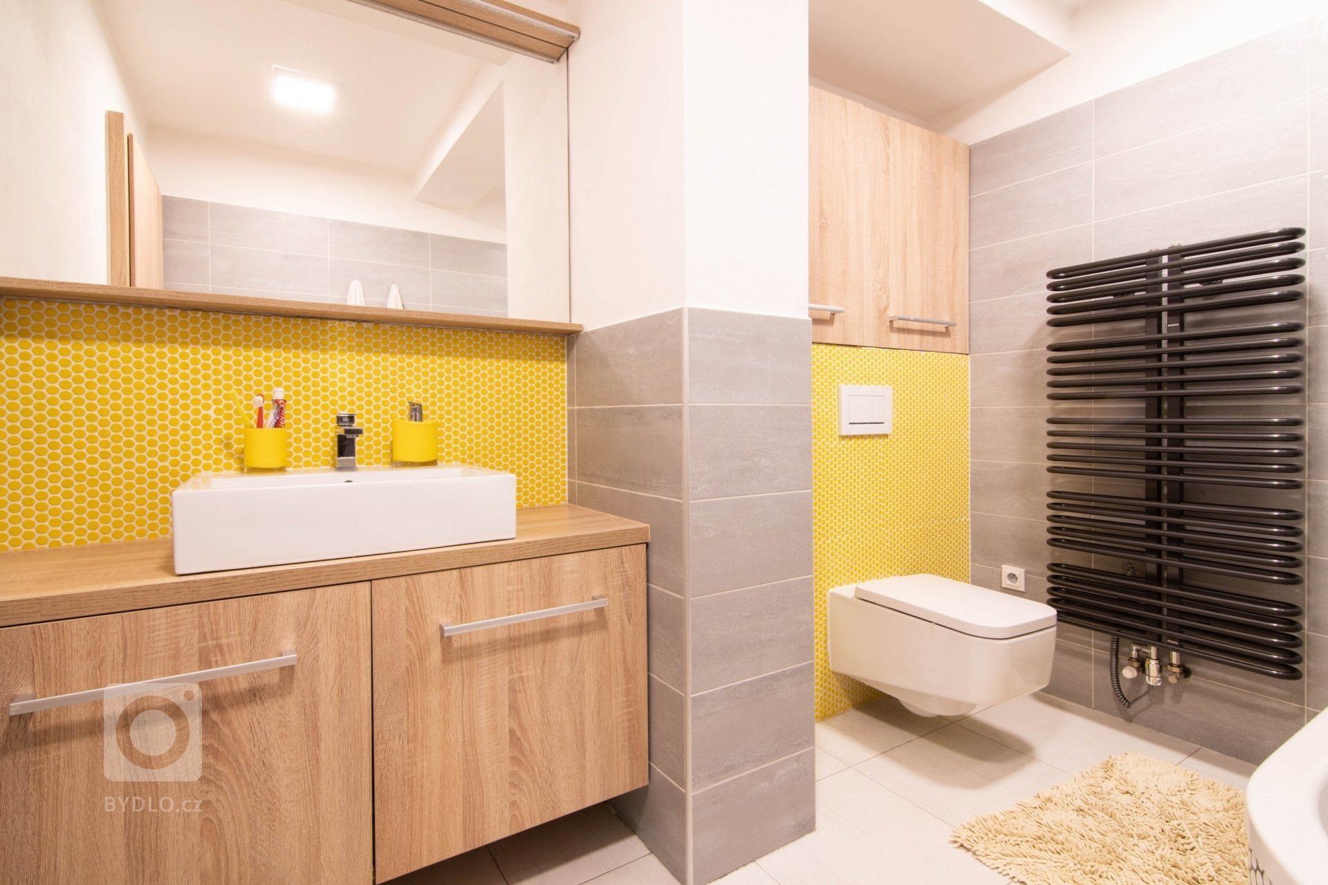 Byt v historickém domě na náměstí v Náměšti nad Oslavou. Tlusté zdi, z oken výhled na zámek, nevyužité podkroví, možnost terasy. Tohle vše nás zlákalo k…