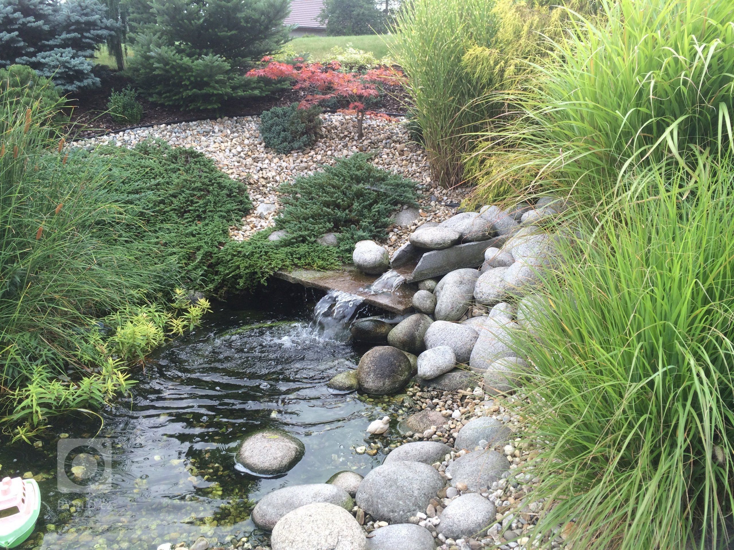 Zahrada u RD s malým jezírkem, provádíme zde i pravidelnou údržbu
