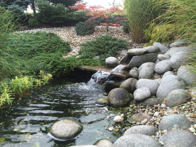 add picture to album