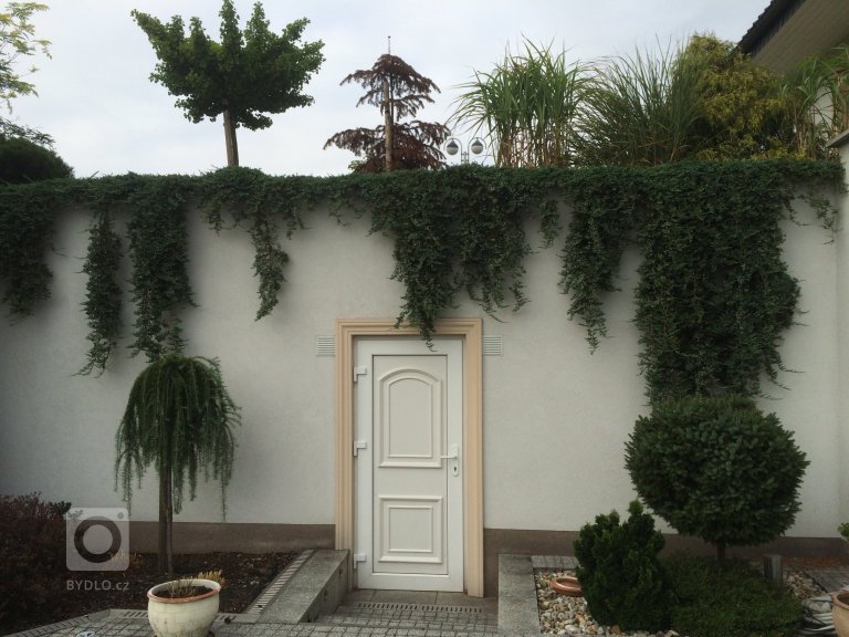 add picture to album