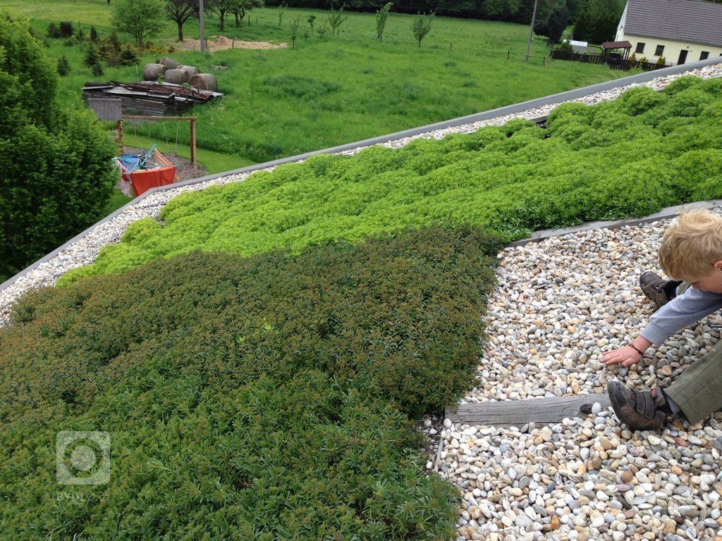 Zelená střecha na RD a přístavcích, výborné tepelné vlastnosti, úžasný vzhled
