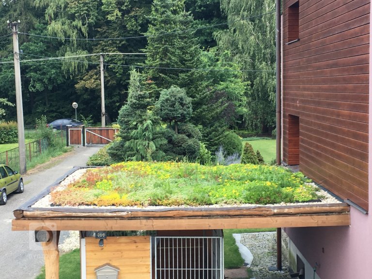 add picture to album