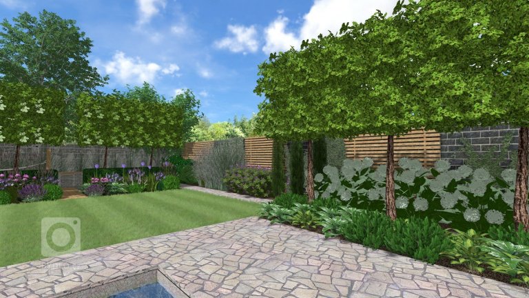 add picture to album