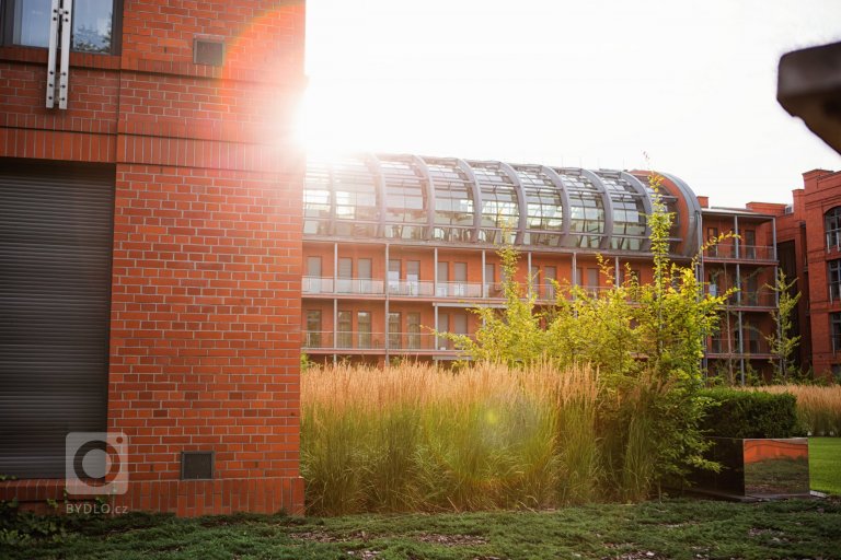 add picture to album