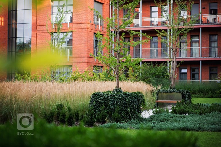 add picture to album