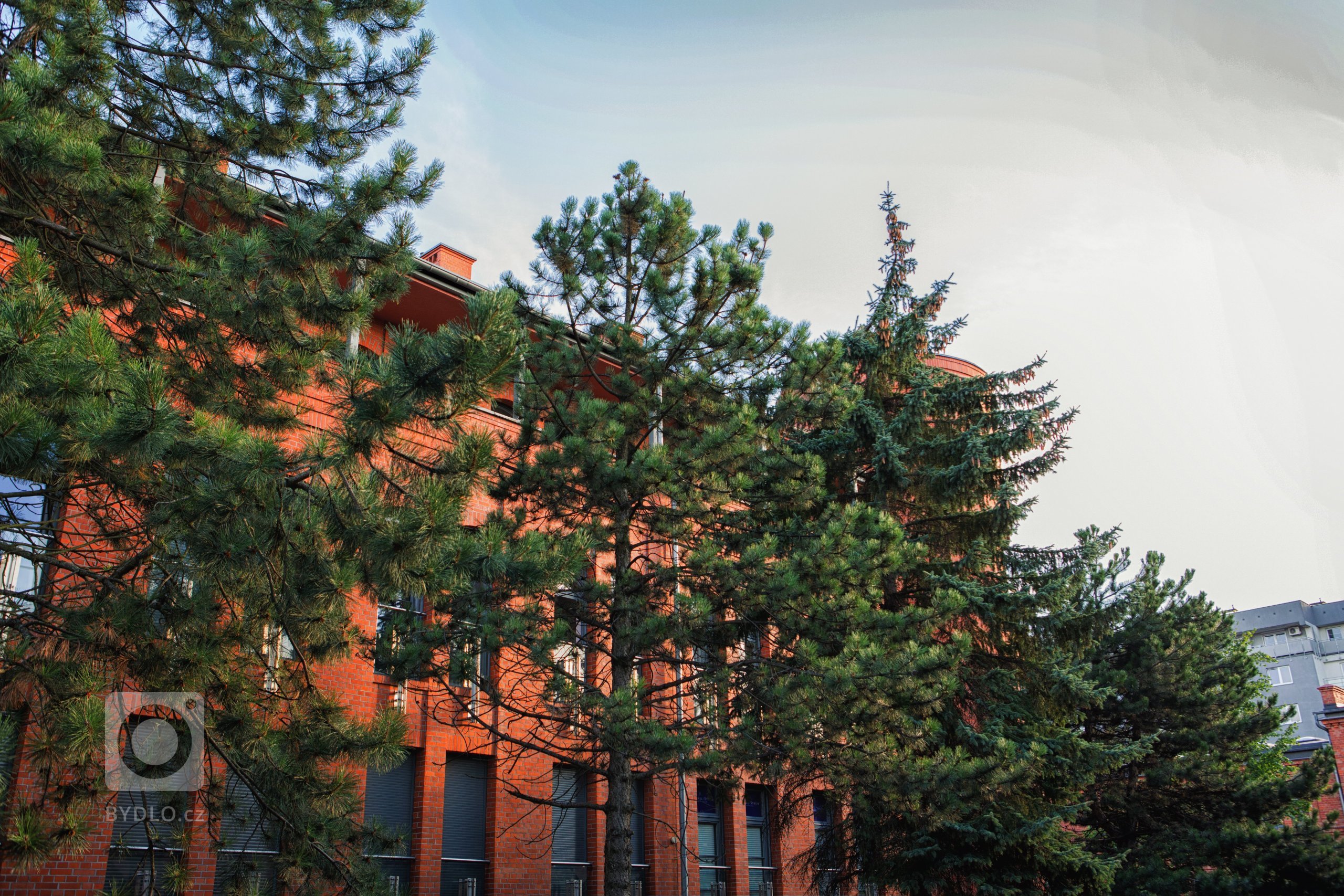 City Park Hotel & Residence