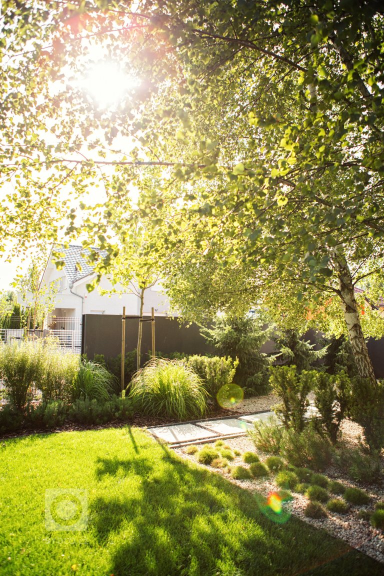 add picture to album