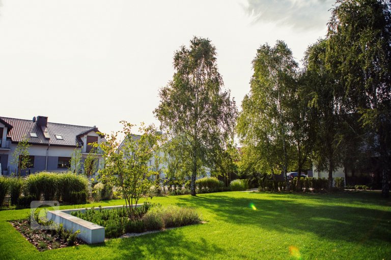 add picture to album