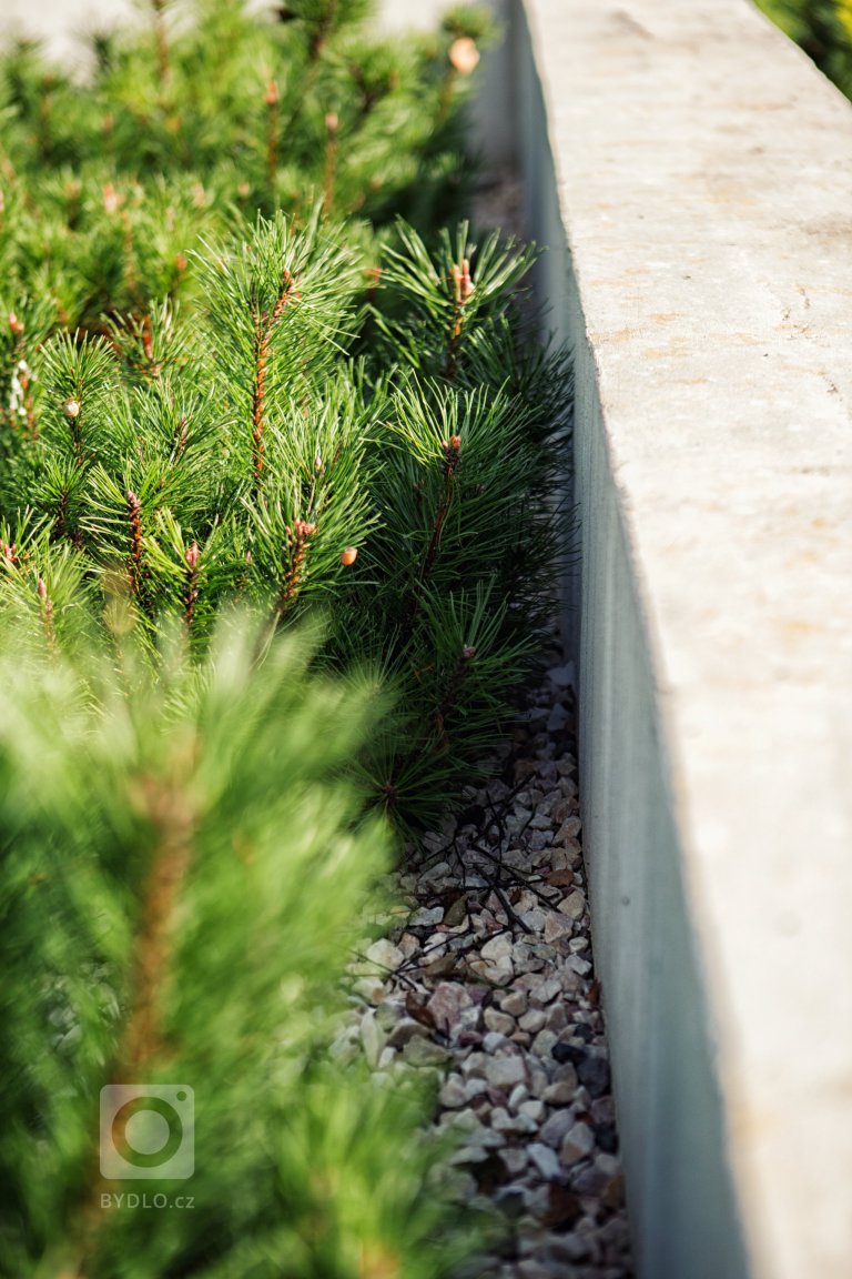 add picture to album