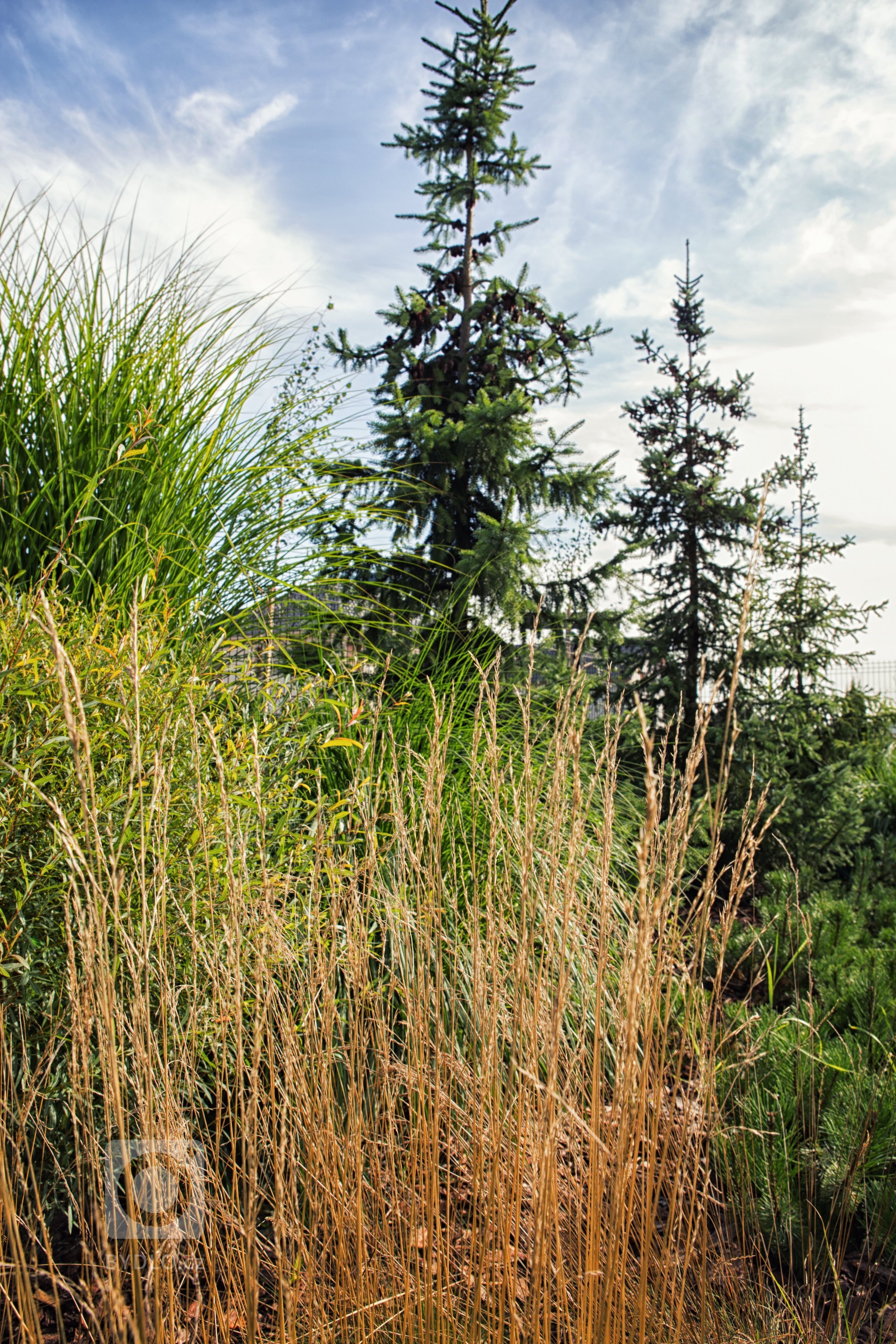 Přední část zahrady tvoří vstupní prostor, vjezd. Byla zde vytvořena široká plocha z betonových desek. Celá příjezdová cesta je otevřeným prostorem. Neexistují…