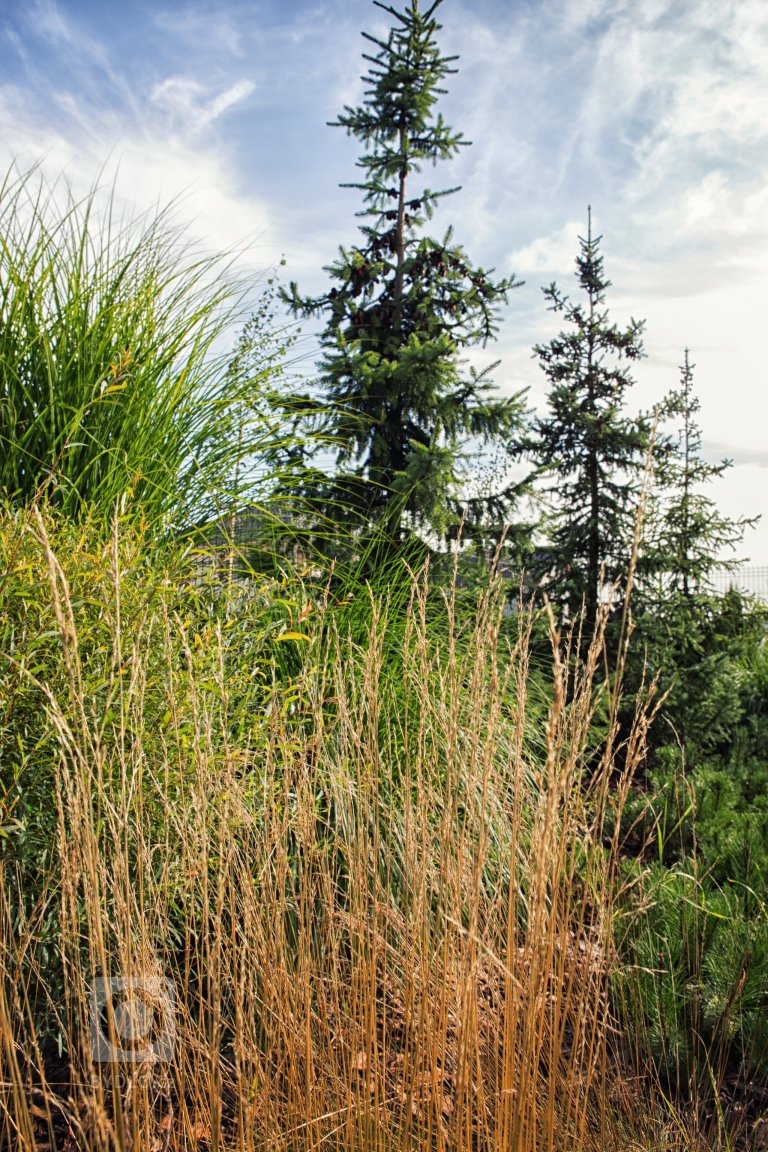 add picture to album