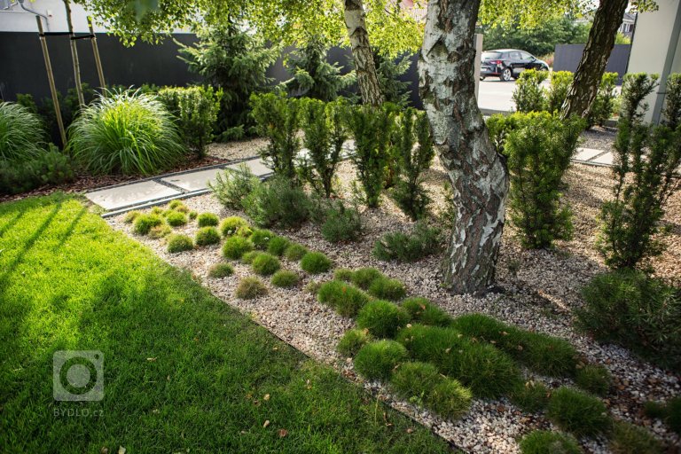 add picture to album