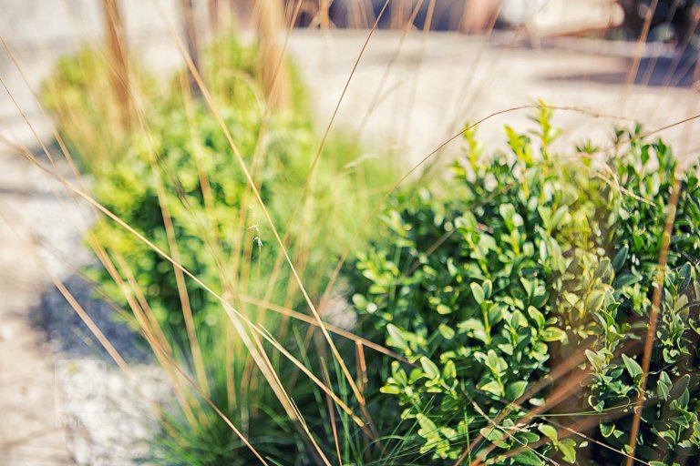 add picture to album