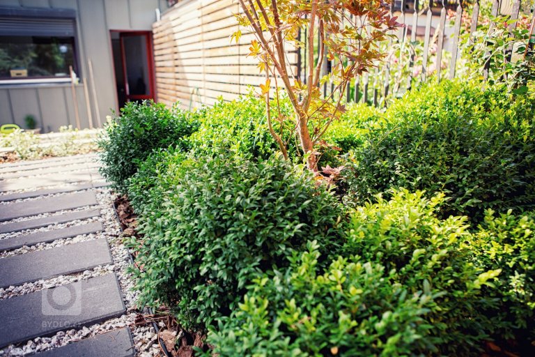 add picture to album