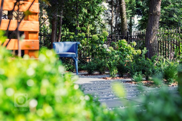 add picture to album