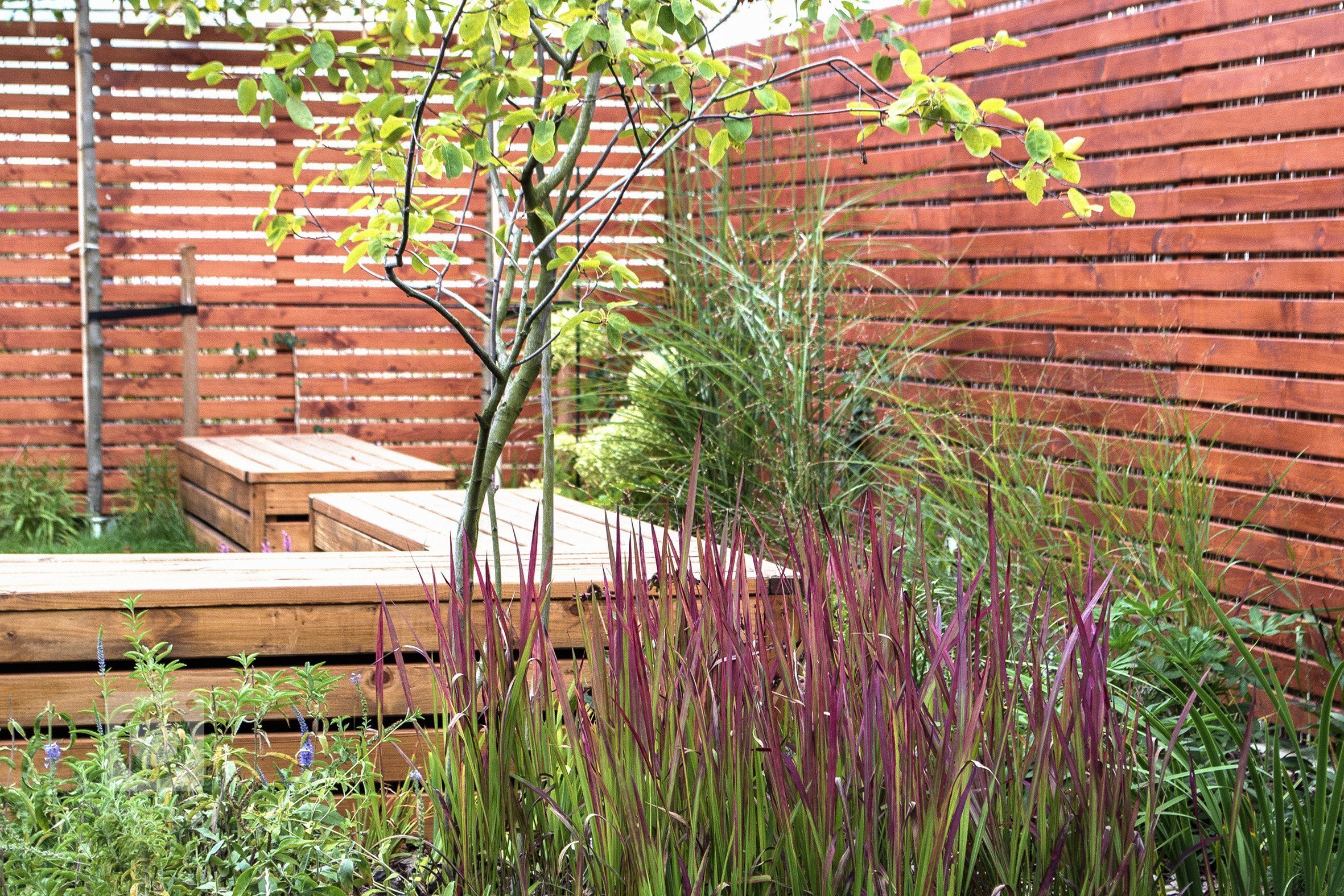 Malý prostor zahrady a její lokalizace mezi bytovou zástavbou má velký vliv na koncept zahrady.&nbsp;Návrh zahrady v Praze&nbsp;je založen na jednoduchých…