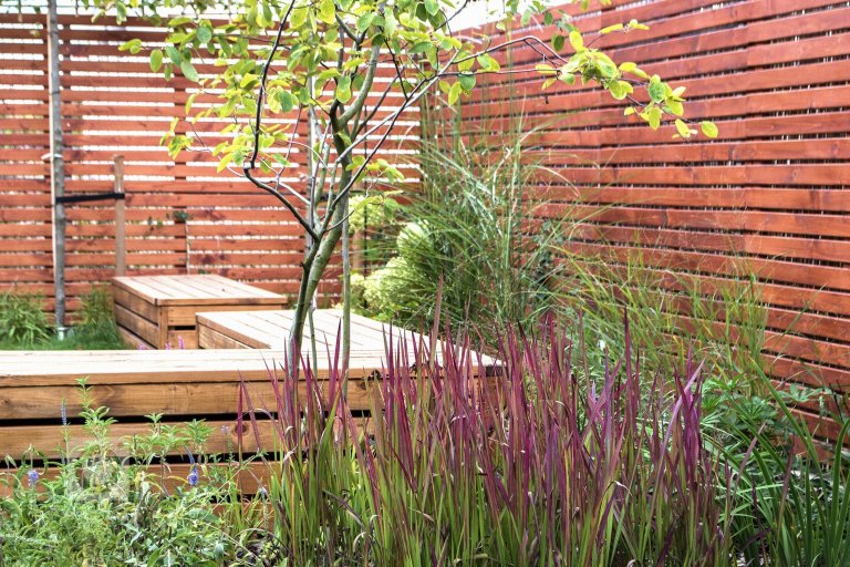 add picture to album