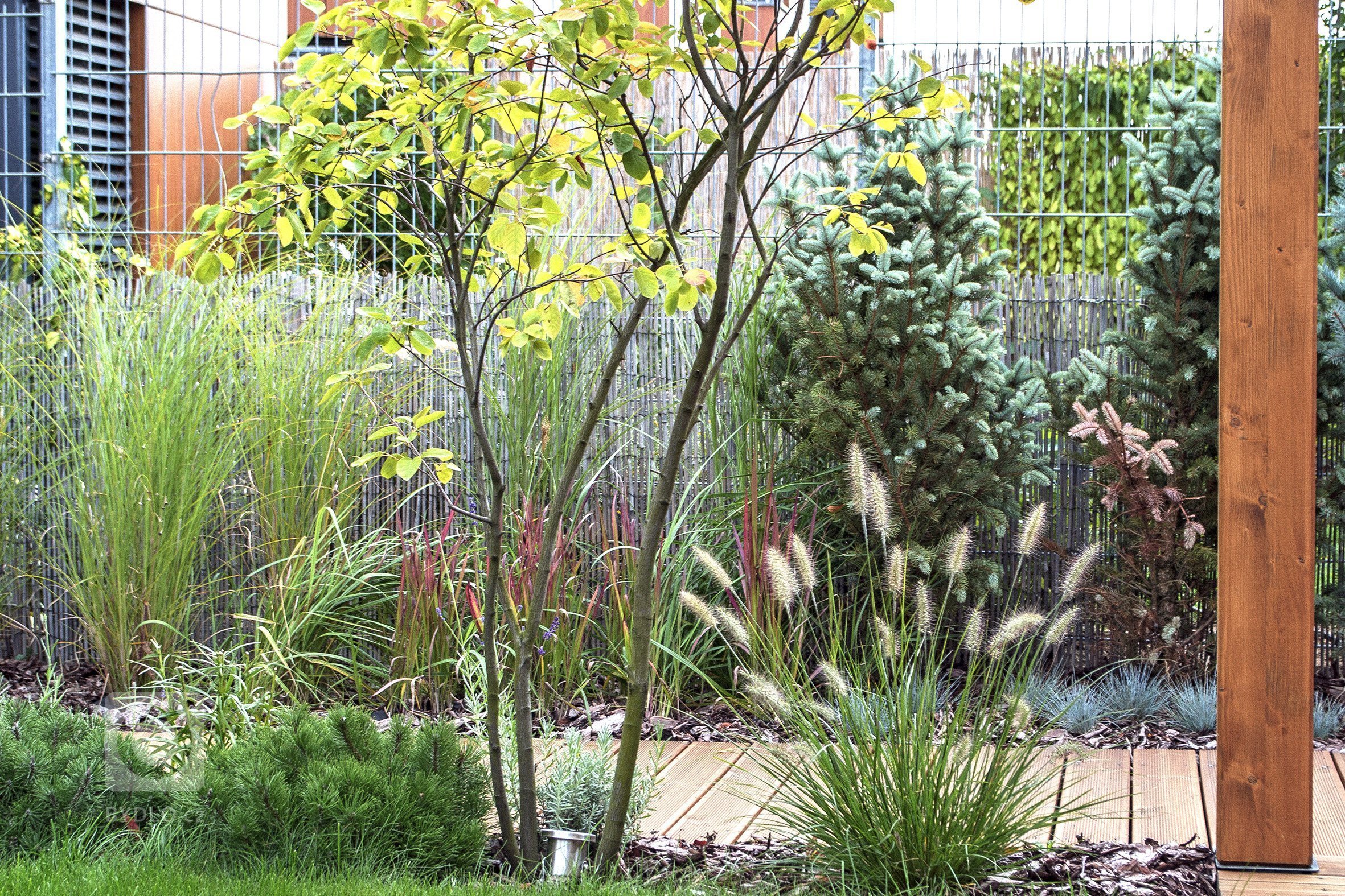 Malý prostor zahrady a její lokalizace mezi bytovou zástavbou má velký vliv na koncept zahrady.&nbsp;Návrh zahrady v Praze&nbsp;je založen na jednoduchých…