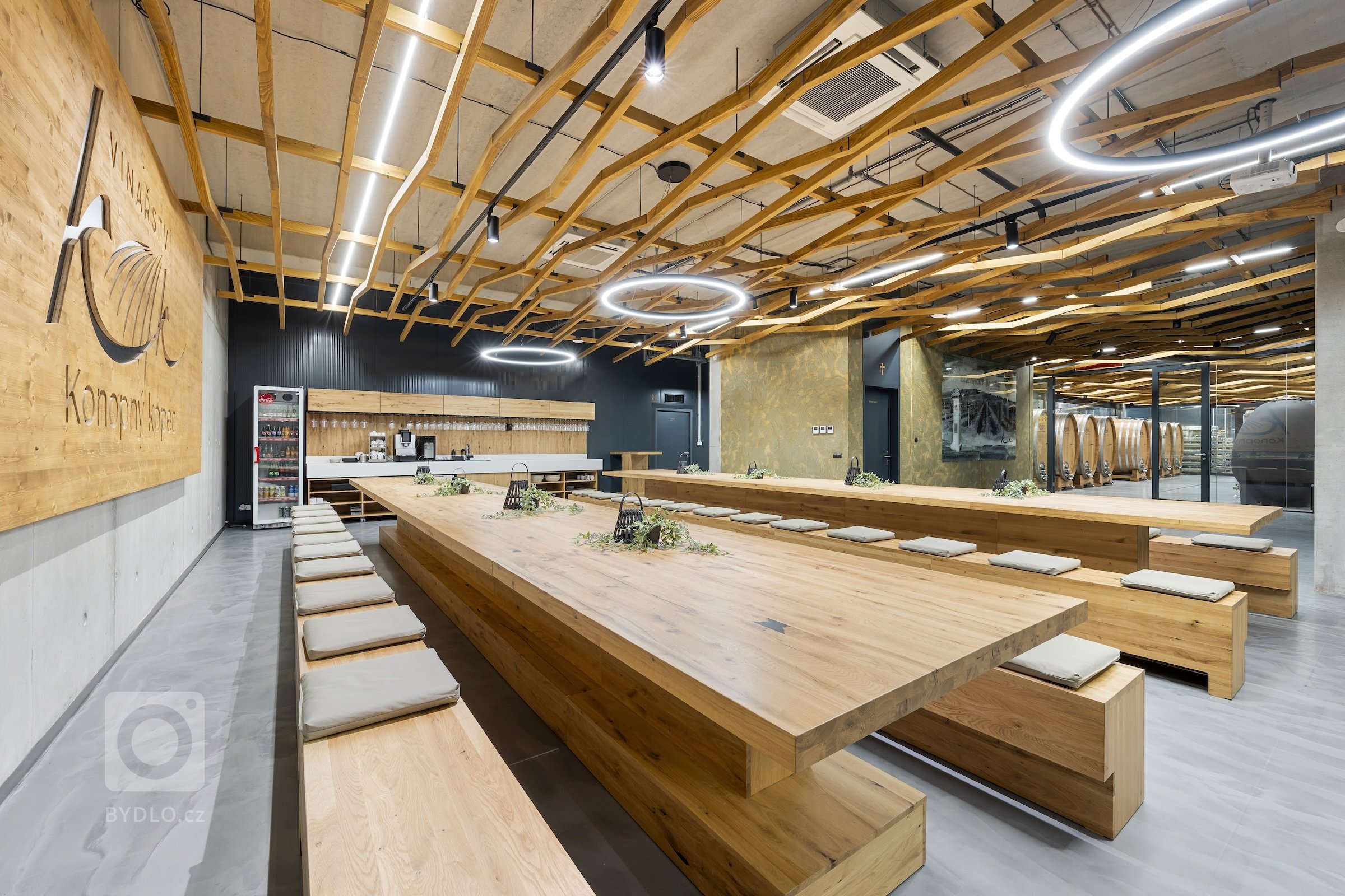 Jako profesionální fotograf jsem měl nedávno tu čest pracovat na fascinujícím projektu &ndash; fotografování Vinařství Konopný kopec. Toto unikátní vinařství,…