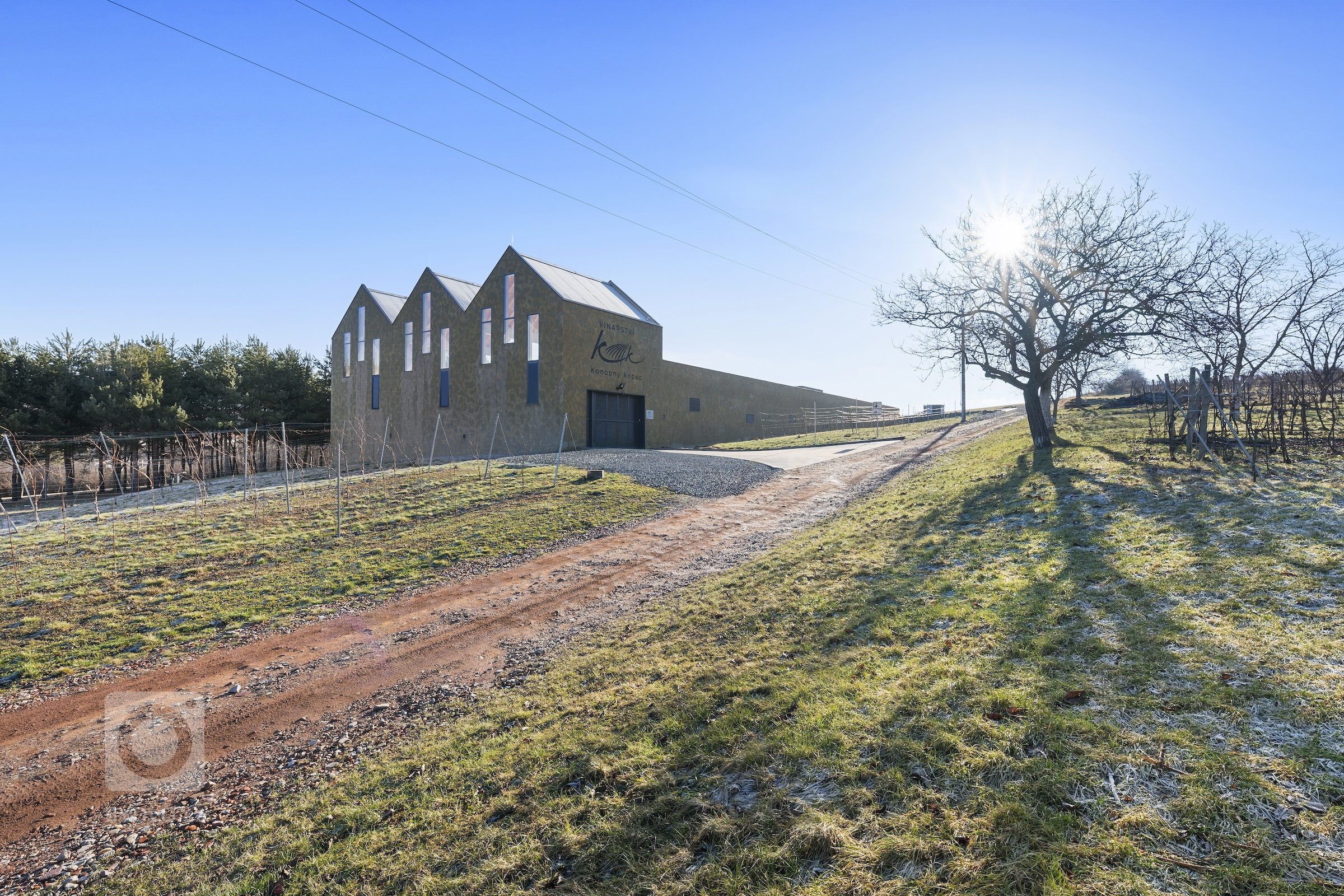 Jako profesionální fotograf jsem měl nedávno tu čest pracovat na fascinujícím projektu &ndash; fotografování Vinařství Konopný kopec. Toto unikátní vinařství,…