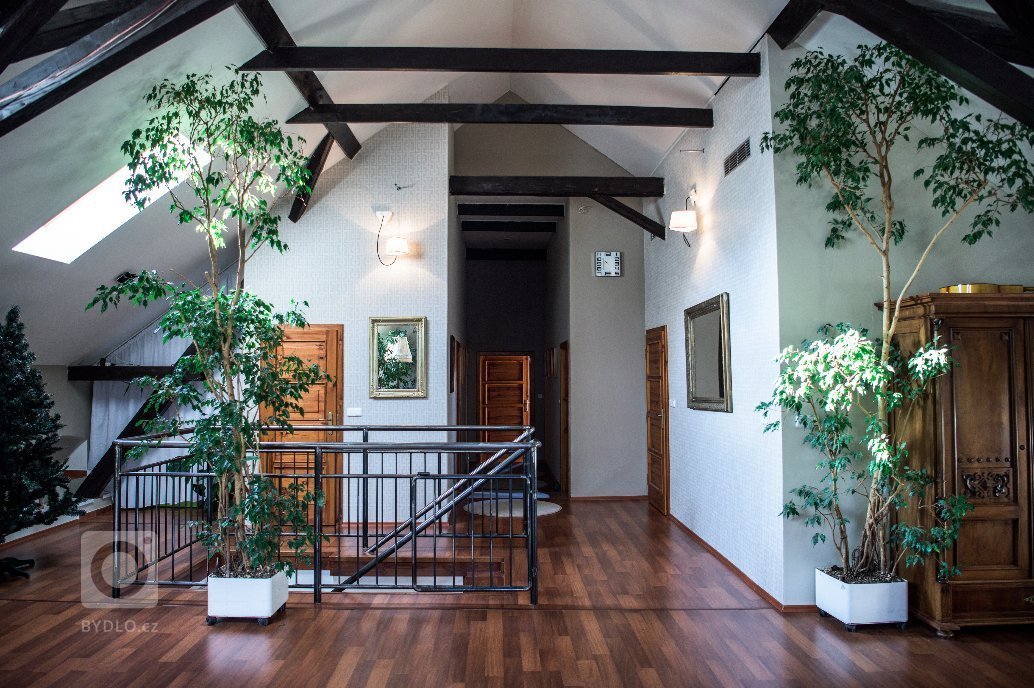 Chodba a hala v půdním prostoru. Přiznaly jsme konstrukci krovu a zachovaly vyšší stropy.