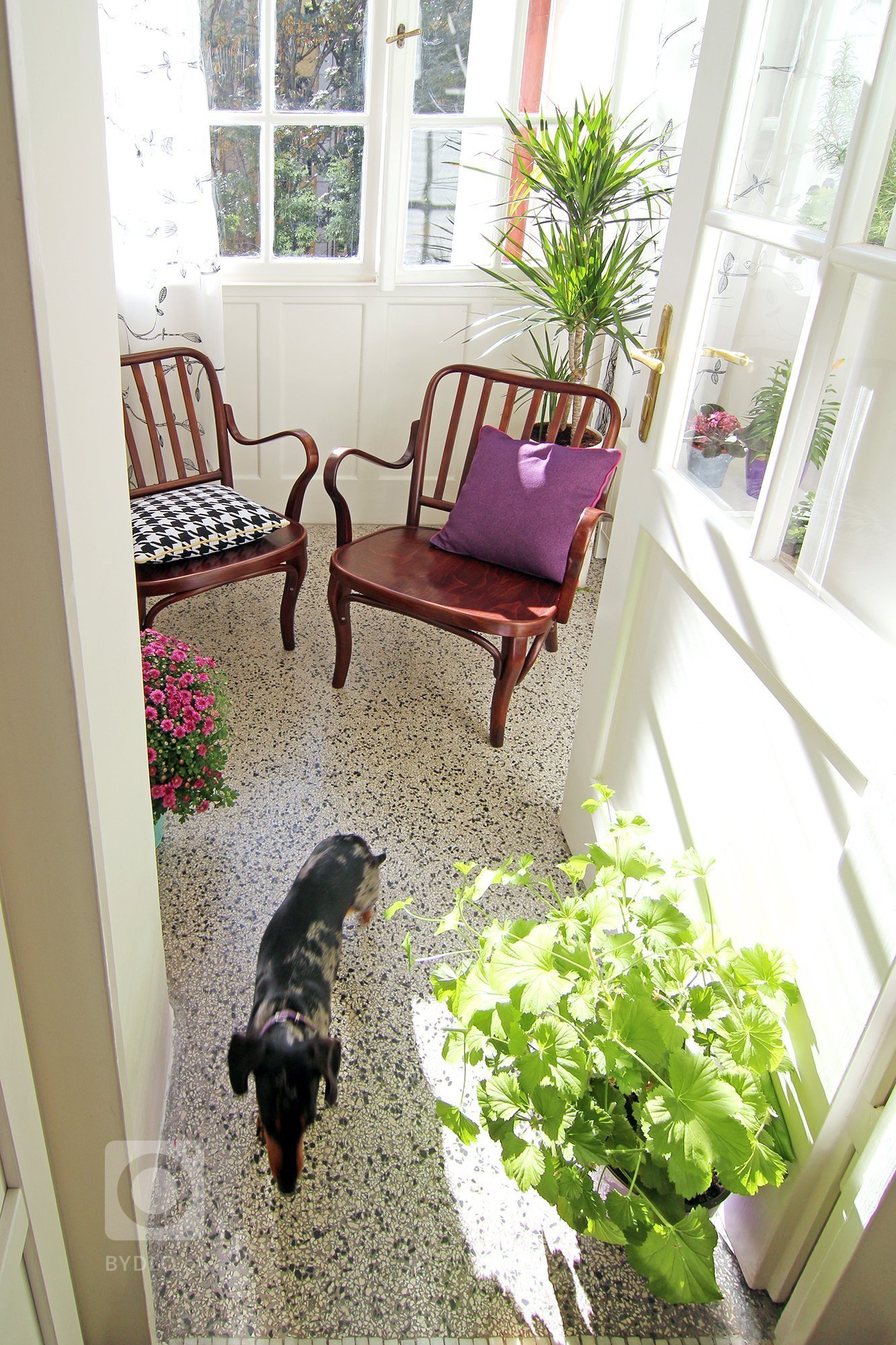 Z prvního mailu klientů, mladých manželů se dvěma jezevčíky:&nbsp;&bdquo;Koupili jsme byt v původním stavu na Žižkově. Chtěli bychom, aby nový interiér byl…