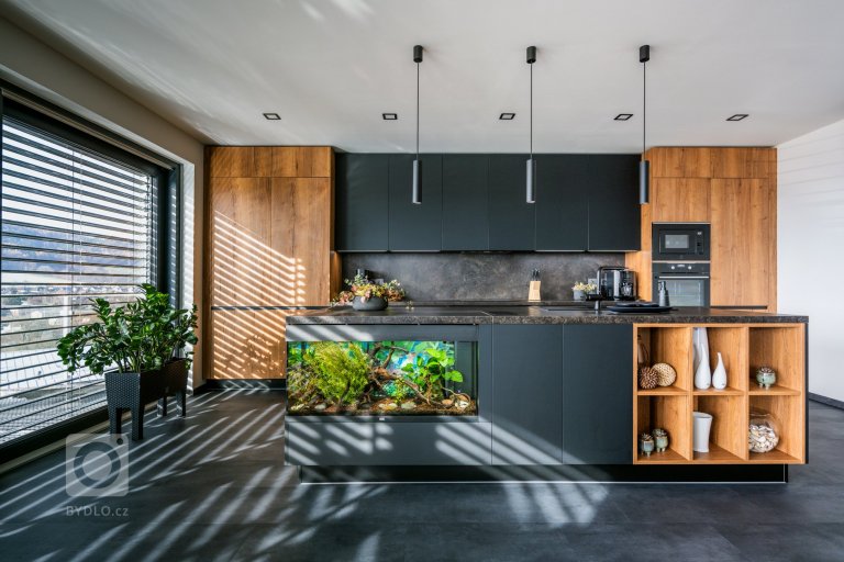 add picture to album