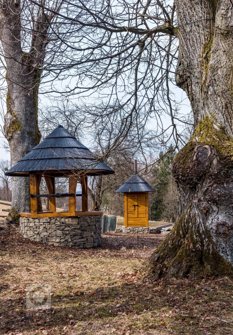 add picture to album