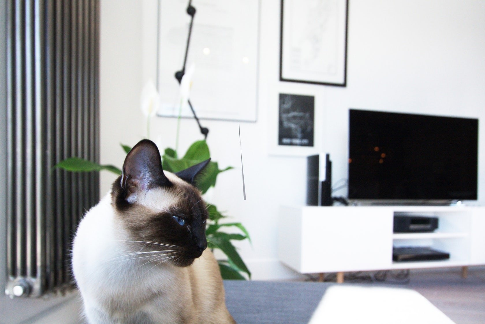 Skandinávský interiér