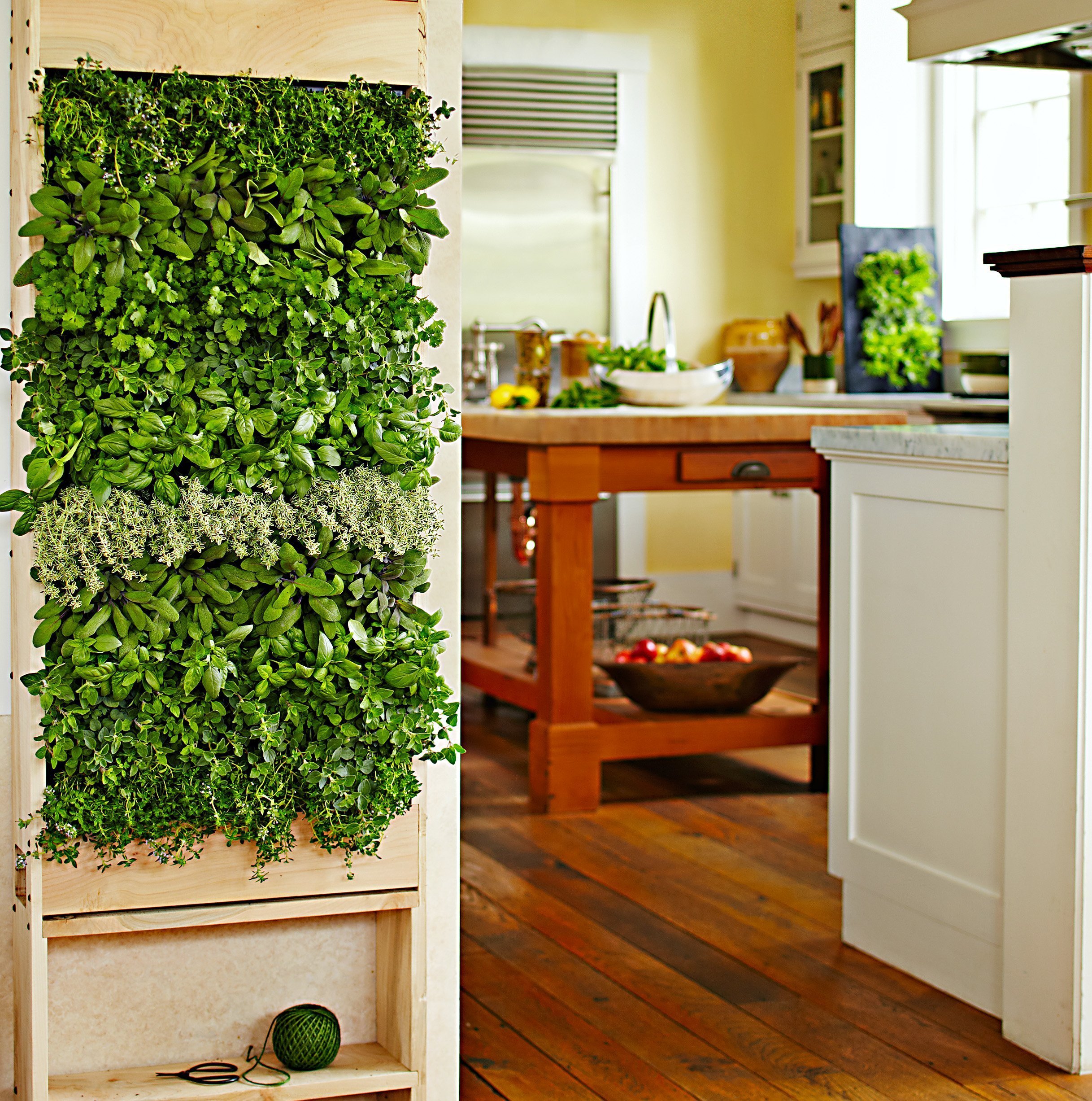 Mobilní zelená stěna může skrývat třeba kuchyňské bylinky.